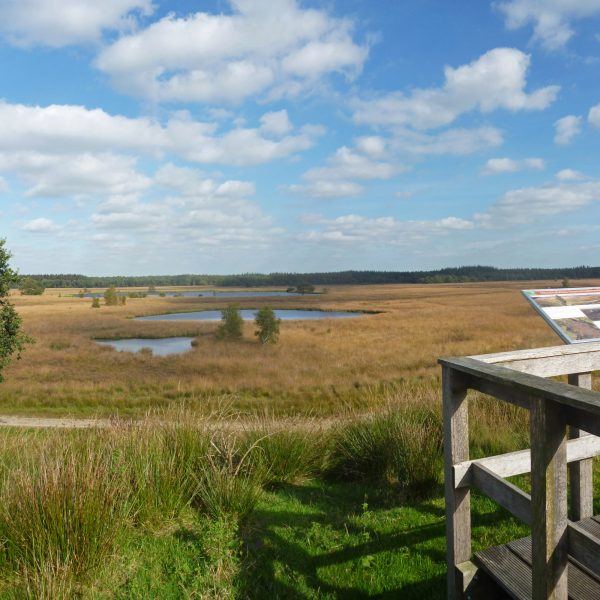 Duurswouderheide (Friesland)